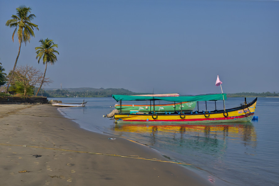 Bunte Fischerboote am ruhigen Strand von Goa, mit Palmen und sanften Wellen im Hintergrund.