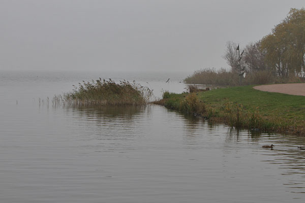 Steinhuder Meer im Nebel
