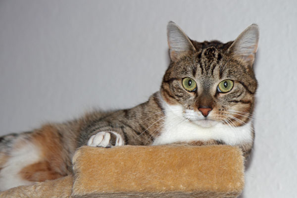 Sally - Dezember 2010