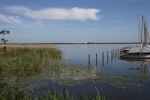 Steinhuder Meer im Juni 2010