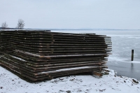 Steinhuder Meer im Januar 2013