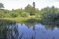 Gut Sunder - Teich Gut Sunder - Teich