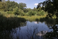 Gut Sunder Gut Sunder