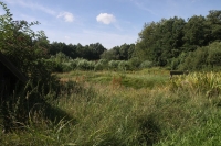 Gute Sunder Gute Sunder