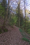 Neuerburg Neuerburg