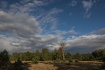 Naturpark Südheide - Wolken