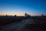Naturpark Südheide - vor dem Sonnenaufgang