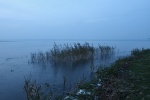 Steinhuder Meer im November 2010