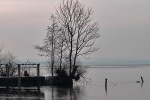 Steinhuder Meer im November 2010
