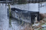 Steinhuder Meer im November 2010