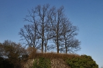 Bielefeld Fotokurs  Bielefeld Fotokurs